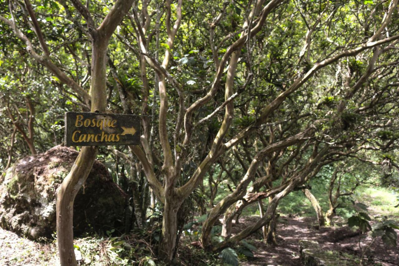 El Trapiche & Lodge