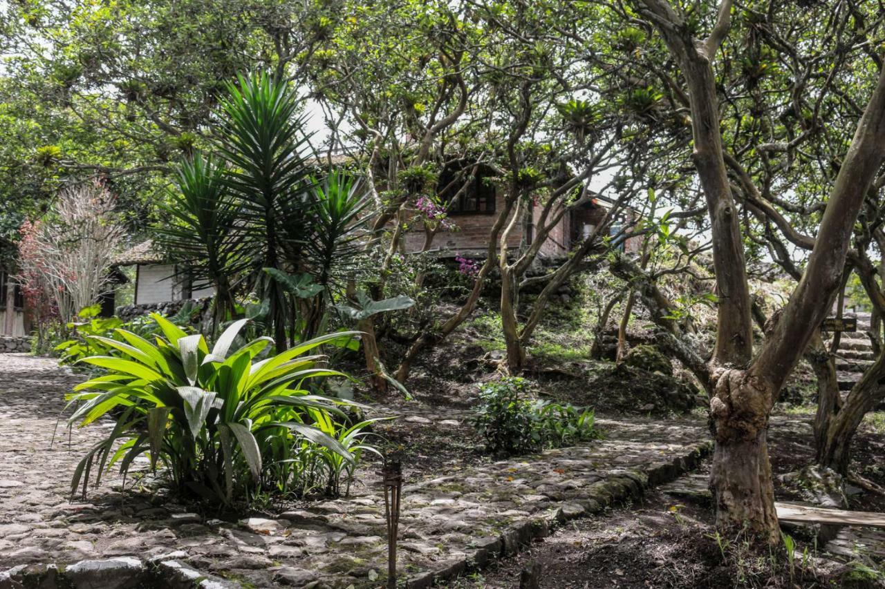 Lodge El Trapiche & *